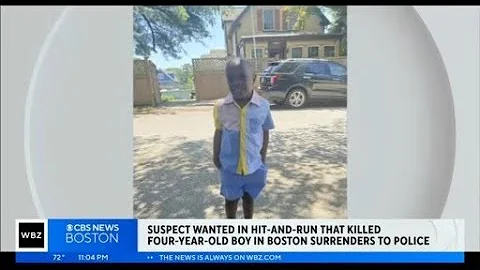 Man arrested in fatal Hyde Park hit-and-run crash