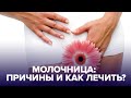 Как защититься и избавиться от МОЛОЧНИЦЫ? Важные и простые правила!