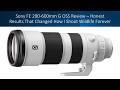Sony FE 200-600mm G OSS Review – Honest Results That Changed How I Shoot Wildlife Forever