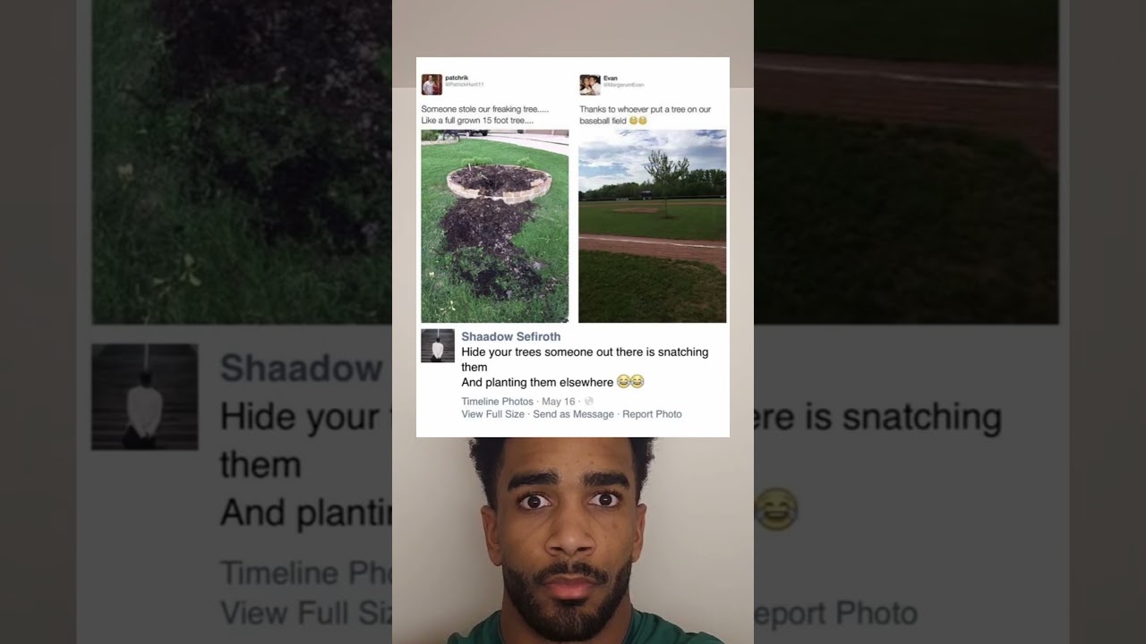 Someone Stole our Freaking Tree 🌲😂 