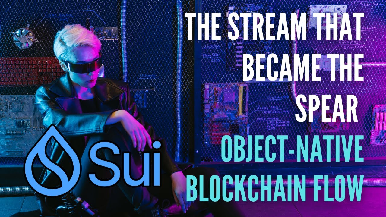 SUI: The Stream That Became the Spear | Object-Native Blockchain Flow