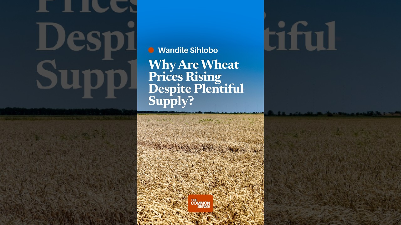 Why Are Wheat Prices Rising Despite Plentiful Supply?