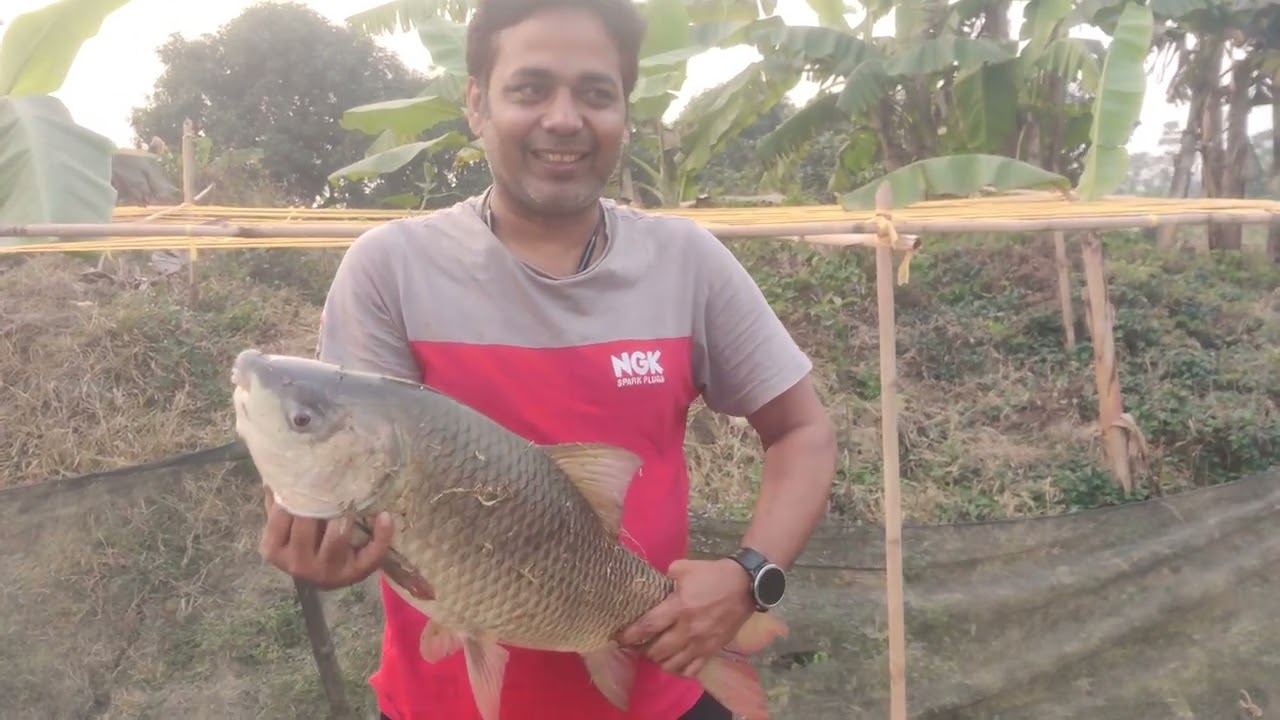 ৬ কেজি রুই মাছ 