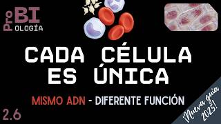 2.6. ESPECIALIZACIÓN CELULAR (NM) BI Tema B2.3 | CELLULAR SPECIALIZATION (SL) IB Biology