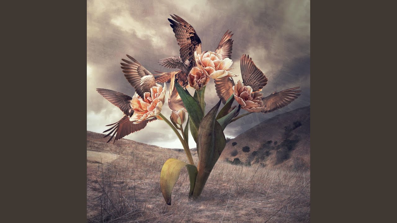 Marvels of Creatures and Strange Things Existing: III. The Sphinx