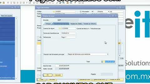 Pagos efectuados con SAP Business One