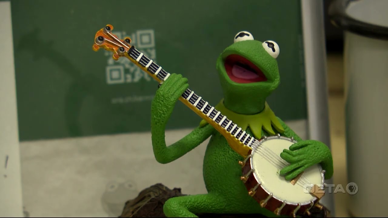 Meet the Banjo Player Behind Kermit the Frog