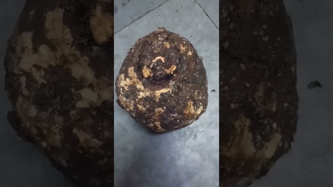 Shuran ki Sabji ki tayari 