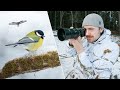 Backyard Bird Photography | One Hour Challenge (APS-C)