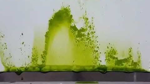 Backwashing algae on a Silicon Carbide (SiC) ceramic membrane