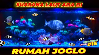 AQUARIUM AIR LAUT #EPS16 | MATA DIMANJAKAN BANGET LIAT BEGINIAN..