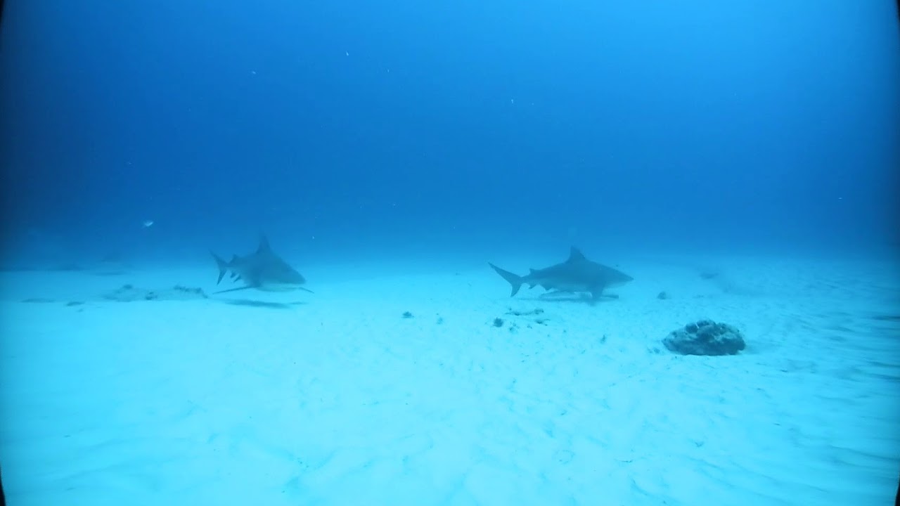 VR-MAX - Nikon KeyMission 360 Review