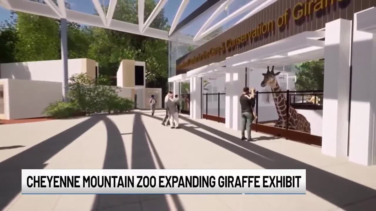 ‘The Giraffe Project’ underway at Cheyenne Mountain Zoo