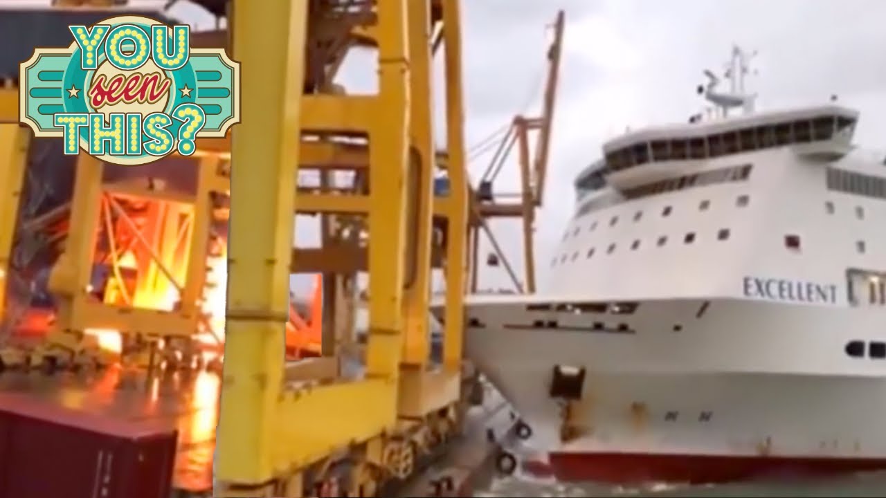 cruise ship collisions youtube