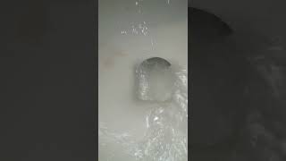 flushing nail polish 4 Net Worth