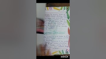 Jean Piaget B.Ed file#assignment #file #gndu #bachelorofeducation