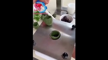 Home Steamed Bun Maker Manual Momo Making Machine Baozi Skin Making Machine Kitchen Bun Equipment