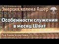 Особенности служения в месяц Шват. Рав Хаим Бурштейн