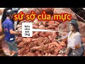 Năng Lê vlogs- đi chợ gặp quá nhiều cá mực a mà ko có tiền mua
