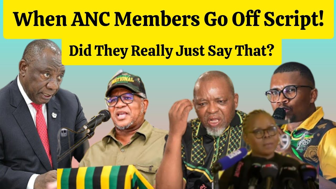 ANC Members Say the Wildest Things 😳 | South Africans React (FUNNIEST MOMENTS)