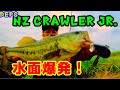 NZ CRAWLER JR． Morning training ‼