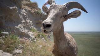 Scotts Bluff National Monument is home to 7 distinct habitats Conservation Works