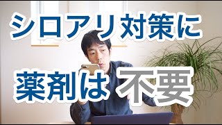 基礎パッキン工法だと防蟻処理はいらない？