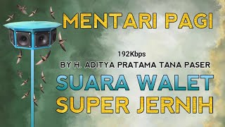 Download Lagu SUARA PANGGIL WALET | SP. MENTARI PAGI PASER JADUL BY MASTER EDITOR H.ADITYA PRATAMA TANA PASER MP3 Download Lagu SUARA PANGGIL WALET | SP. MENTARI PAGI PASER JADUL BY MASTER EDITOR H.ADITYA PRATAMA TANA PASER MP3