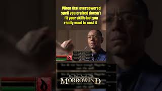 Morrowind Funny & Accurate Pt 64