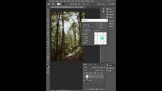 Sun rays effect from tress in photoshop #short #photoshoptutorial #photoshop