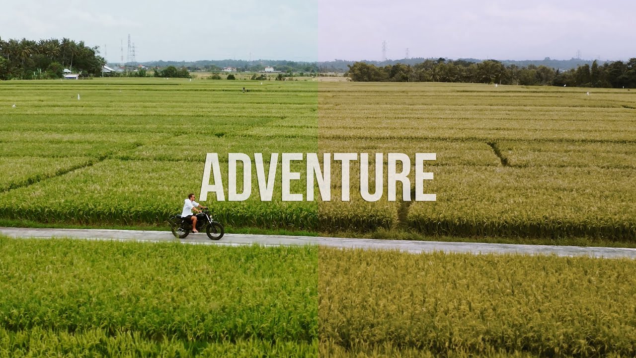 Deuteranomaly Adventure