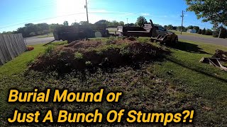How to Remove a Massive Dirt Mound and Tree Stumps | Indianapolis, IN