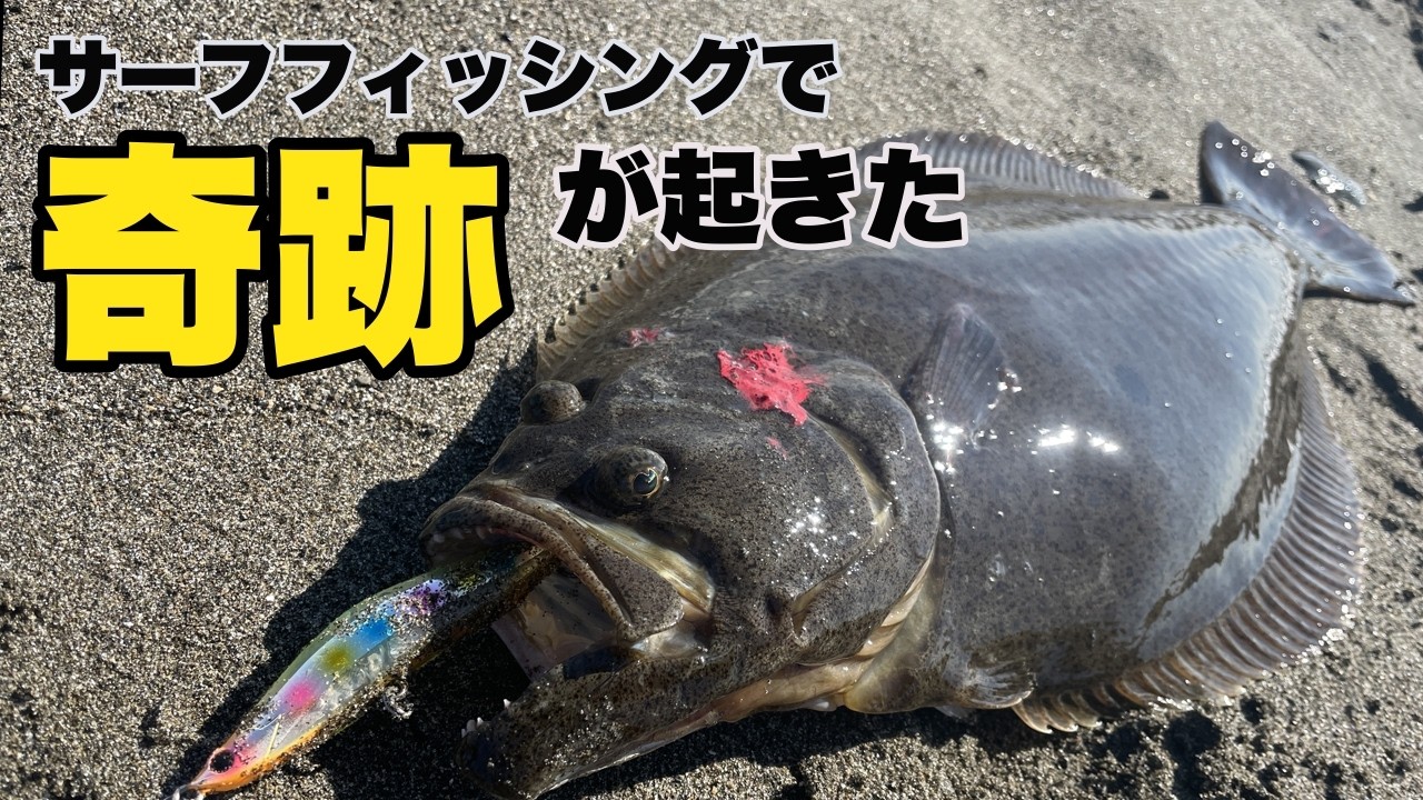 サーフで奇跡が起きた状況とポイントは…？ベイトだらけのサーフで釣りをしてみた
