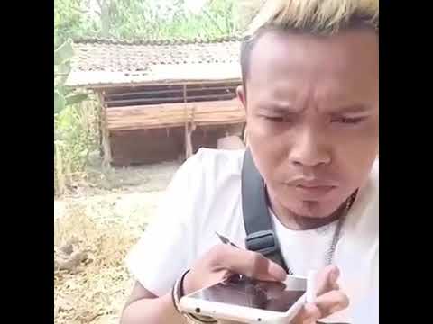 Google sunda kasar