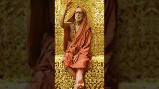 Kanchi Paramacharya Mahaswami Leelalupart7
