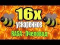 RASA - Пчеловод | Все скорости до 16x