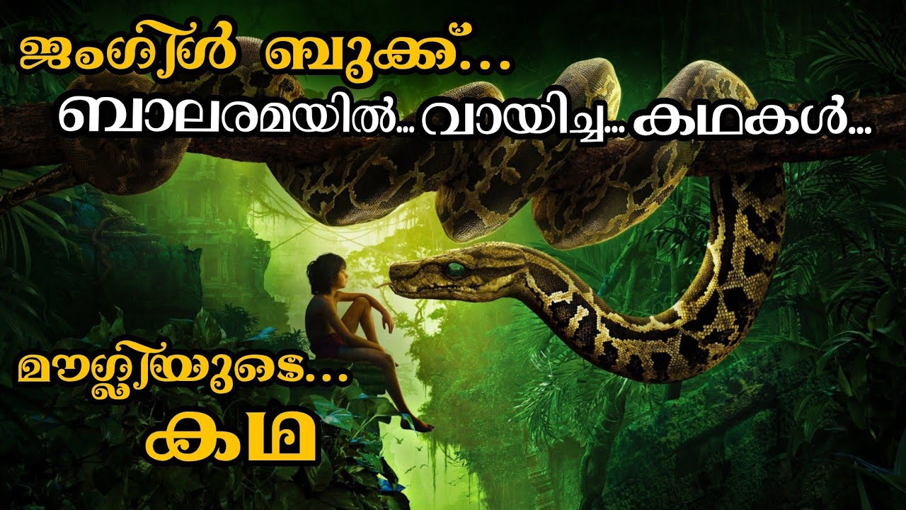 മൗഗ്ലി ഒരു ചലച്ചിത്ര ആവിഷ്കാരം | കുട്ടികൾക്കും മുതിർന്നവർക്കും ഒരുപോലെ ആസ്വദിക്കാം / Mallu Explainer