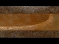 JaponismeTokyo AKAーRAKU 「赤楽茶碗の饗宴」