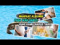 Manfaat Ikan Gabus yang Mengejutkan Bagi Kesehatan