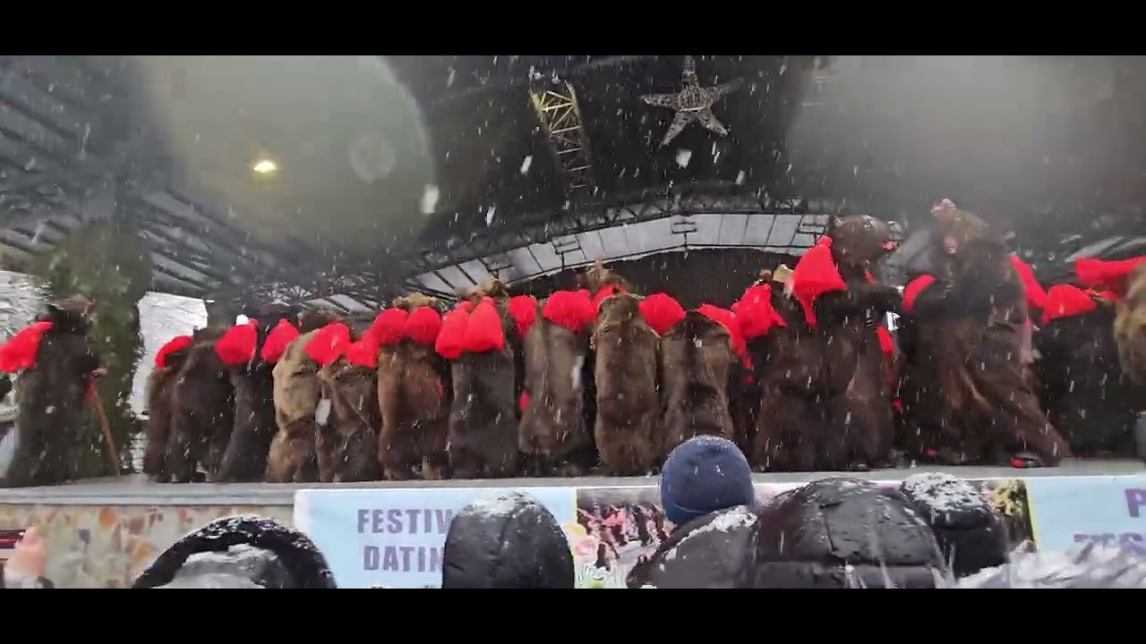 Ursul din Vasiesti~2024~