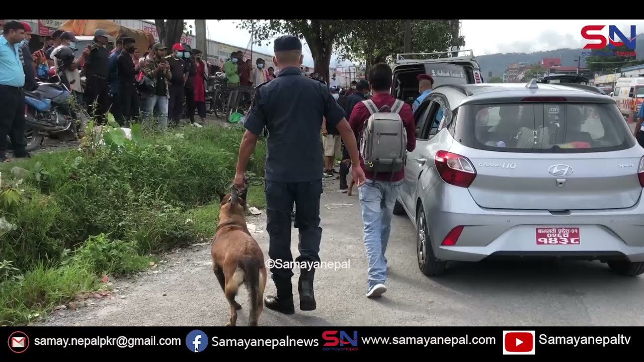 पोखरामा हेर्दा हेर्दै रं'गेहात स'मात्तिए- कुकुर सहीत चेकीङगर्दा यस्तो अ