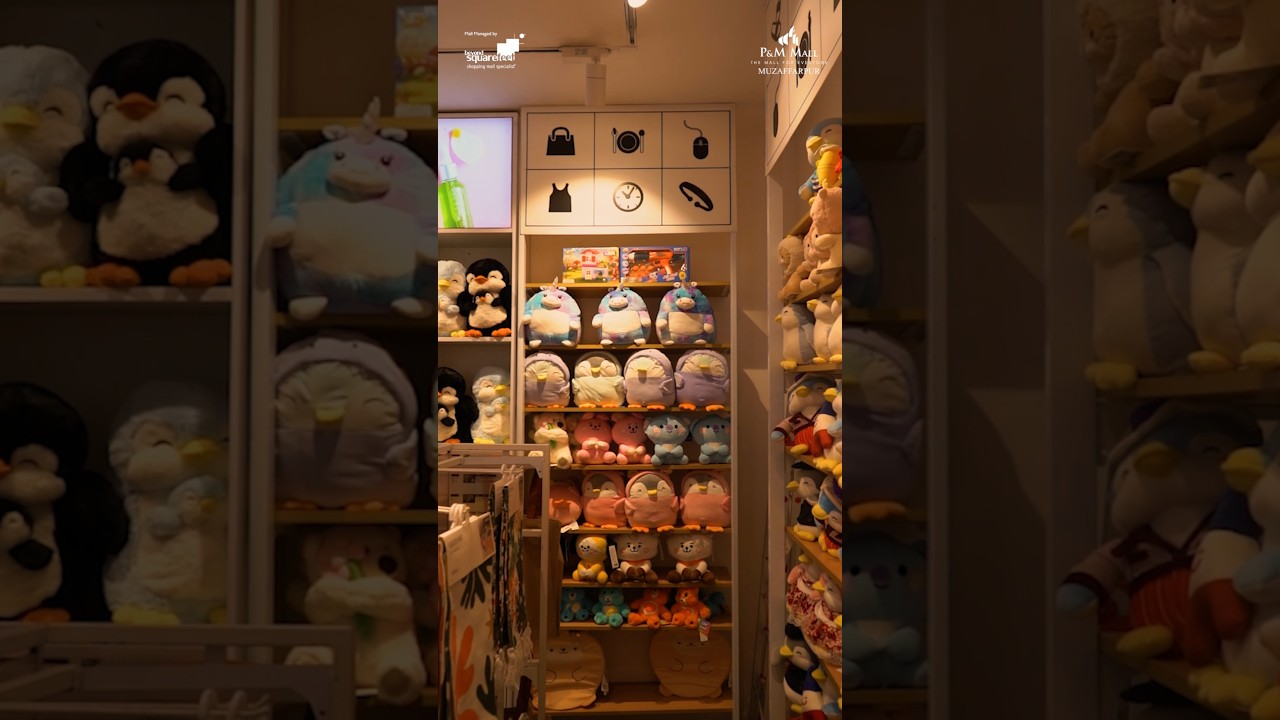 Miniso at P&M Mall | Cute & Trendy Finds in Muzaffarpur 🛍️✨