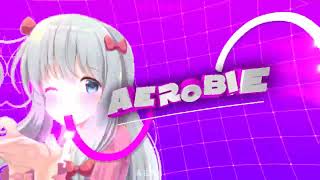 #284 INTRO AEROBIE
