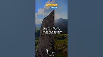 "وأن ليس للإنسان إلا ما سعى" سورة النجم SURAH AN-NAJM #عبدالولي_الاركاني #abdulwali_alarkani