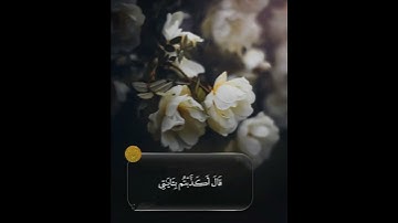 🌸سورة النمل🌸