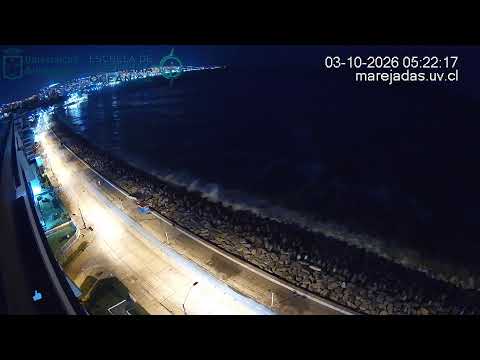 Marejadas UV || Av. Perú || Viña del Mar || Chile en vivo