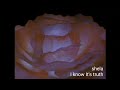 shela / I know It's truth -Music Video-【自作】