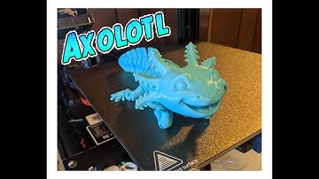 Axolotl Time Lapse on Creality Ender 3 V2