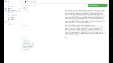 BananoVuetifyAD3 For Dummies - Part 43 - BANanoServer (Jetty) Websocket Implementation