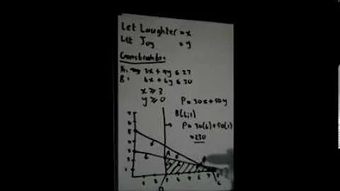 Introduction to Shadow Prices